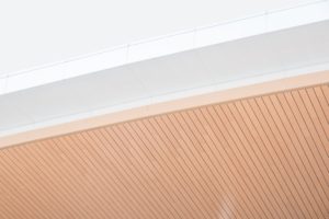New wood is not suitable for paint and primer in one New wood is not suitable for paint and primer in one
