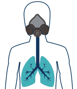 Illustration of how a Paint respirator keeps lungs VOC free