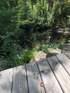 Wood deck recently spayed with stain