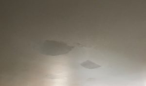 freshly painted ceiling