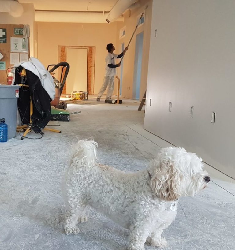 How Many Coats Of Primer For Any Situation You Ll Like The Answer Painting Coats Of Primer