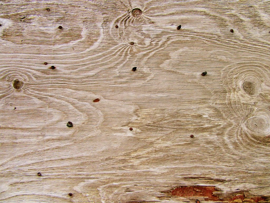 Painting Plywood Supplies, and HowTo in 5 Steps Brad the Painter