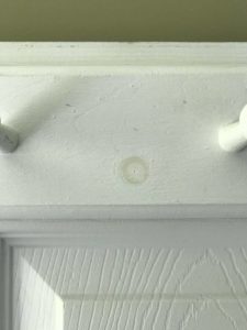 A coat rack without stain blocking primer shows a stain bleeding into paint