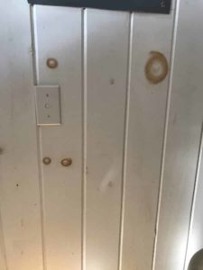 Pine boards lack stain blocking primer so knots bleed into paint wood need stain blocking primer