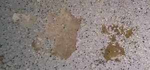 Peeling paint from garage floor