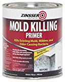 Mold killing primer