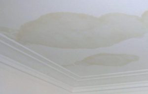 Benjamin Moore Ceiling Paint And Kilz