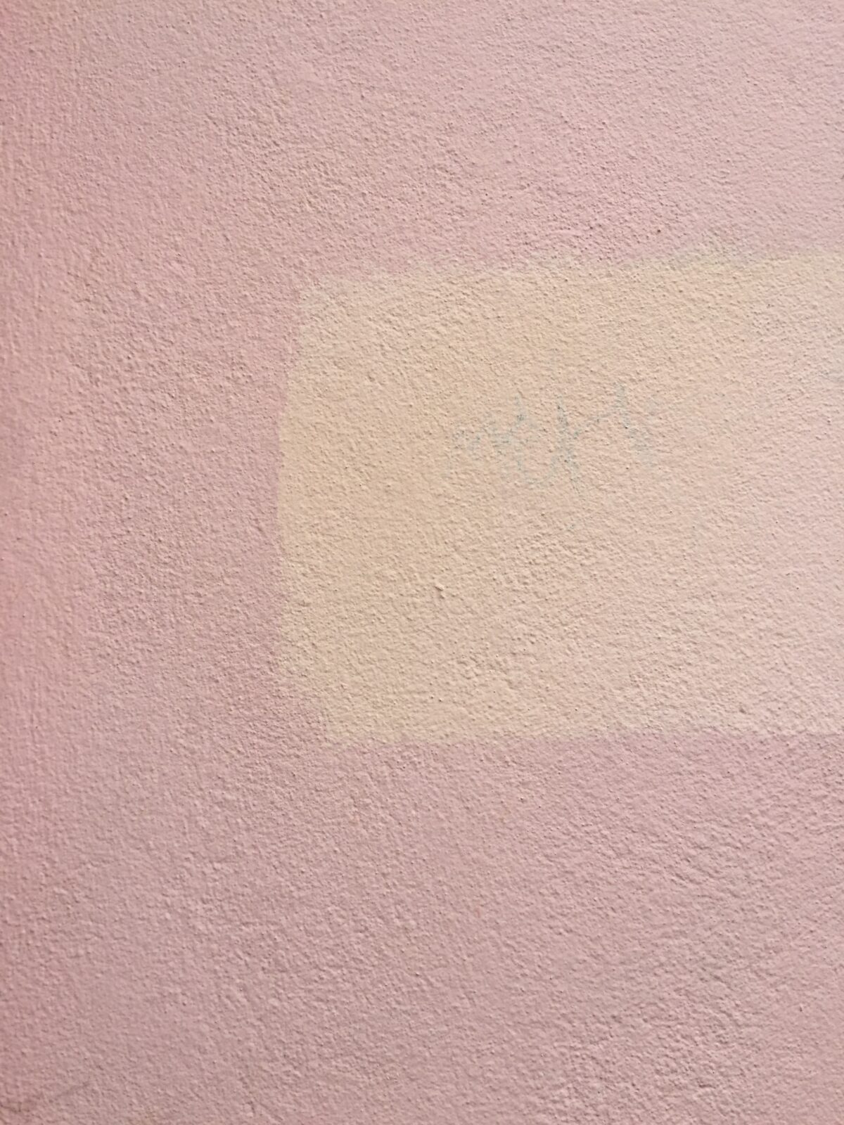 PaintandPrimer InOne Sometimes Yes Brad the Painter