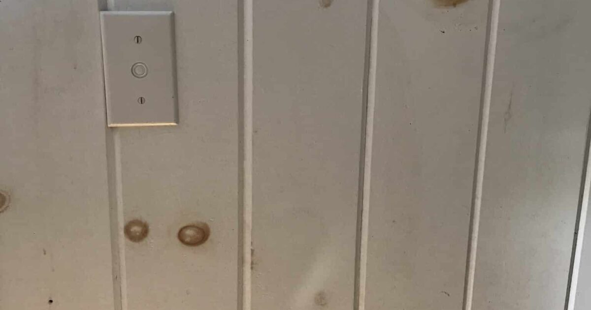 Wood Knots Bleeding Through Paint Seal Them Up Brad the Painter